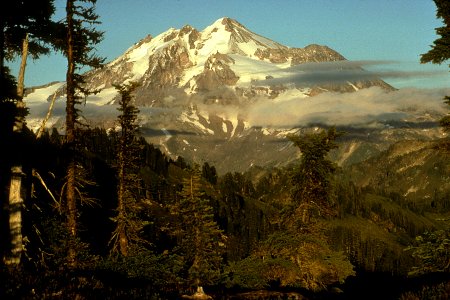 View of Glacier Peak with Clouds and Forest, Mt Baker Snoqualmie National Forest
