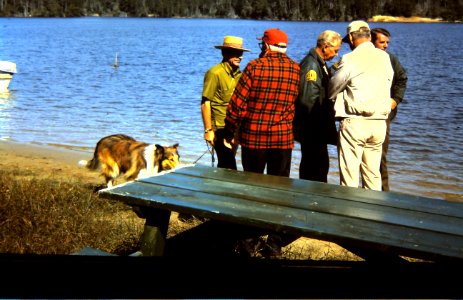 Lassie crew picnictable photo