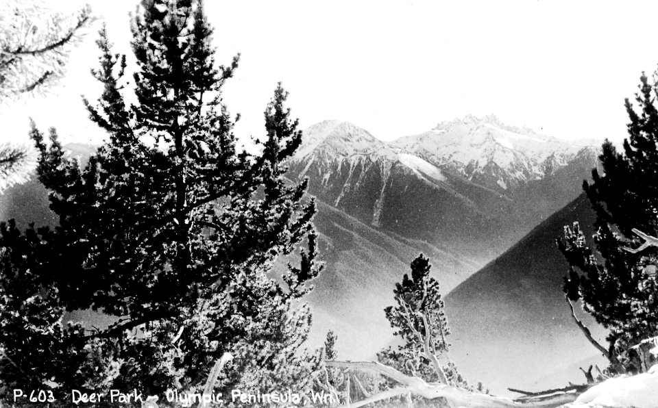 P-603 Deer Park, Olympic Peninsula, Wn.