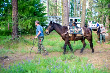 Wilderness Stewardship Skills Training at Mt Adams Ranger District-180
