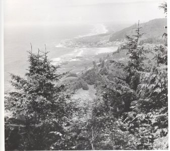 viewpoint north