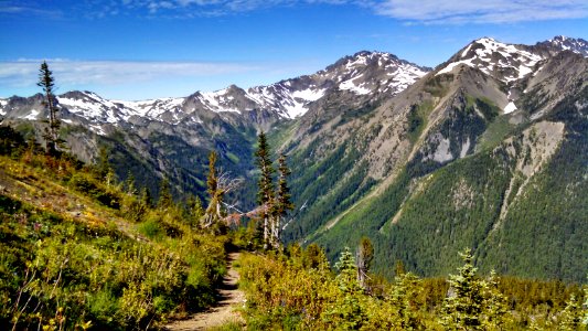 The Pacific Northwest Trail near Boulder Shelter in the Buckhorn Wilderness, Olympic National Forest photo