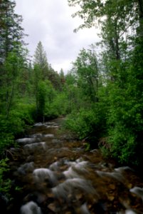 Sherman Creek, Colville National Forest photo