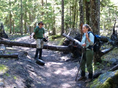 Couple Hiking on Trail-Mt Hood photo