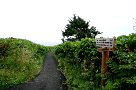 View of Pacific Ocean from Captain Cook Trail at Cape Perpetua, Siuslaw National Forest