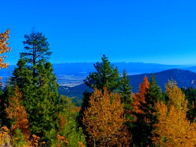 Fall colors above Enterprise, Wallowa-Whitman National Forest photo