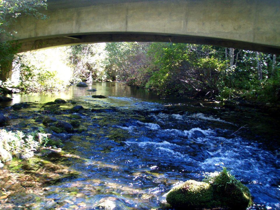Upper Middle Fork Restoration-Bridge with Fish Passage, Willamette National Forest