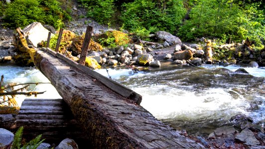 Footbridge crossing Anderson Creek on the East Bank Baker Lake Trail in the Mt. Baker-Snoqualmie National Forest
