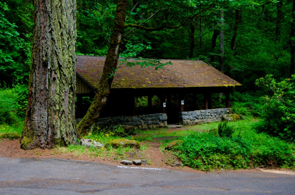 Community Shelter at Eagle Creek Trailhead-Columbia River Gorge
