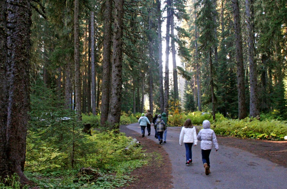 Willamette National Forest, Trapper Creek Outdoor School-101