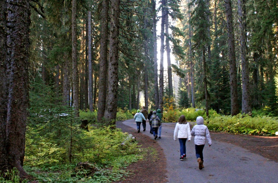 Willamette National Forest, Trapper Creek Outdoor School-101 photo