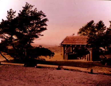 Siuslaw NF - Community Shelter, OR c1930