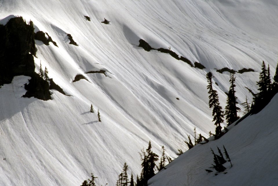 Heather Meadows, Mt Baker Snoqualmie National Forest-2.jpg