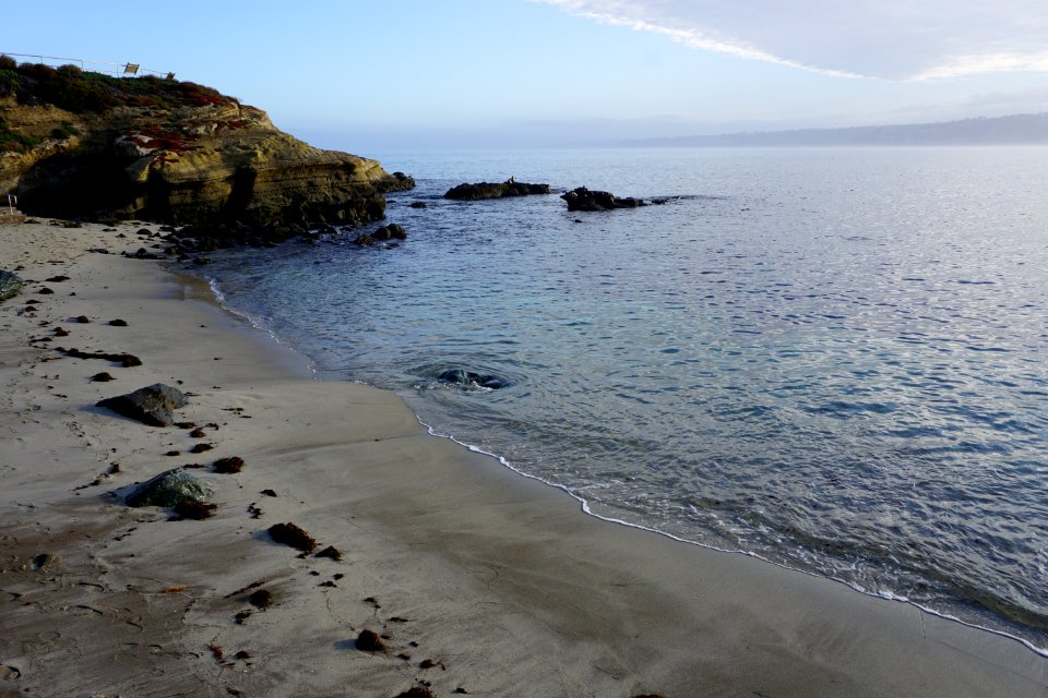 La Jolla Cove, CA (Unedited)