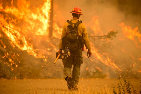Firefighter, Umpqua National Forest Fires, 2017
