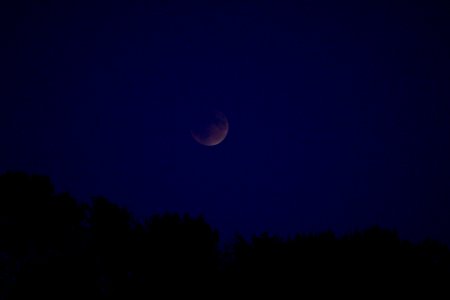 Moon Rise photo