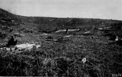 92678 Mt. Hebo Seeding Area, Siuslaw NF, OR 1910 photo