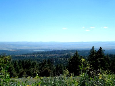 View of Three Forks from Black Canyon Wilderness-Ochoco photo