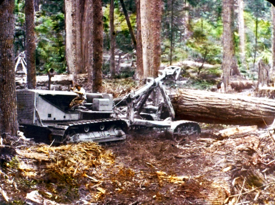 Selective Logging near Morton, WA