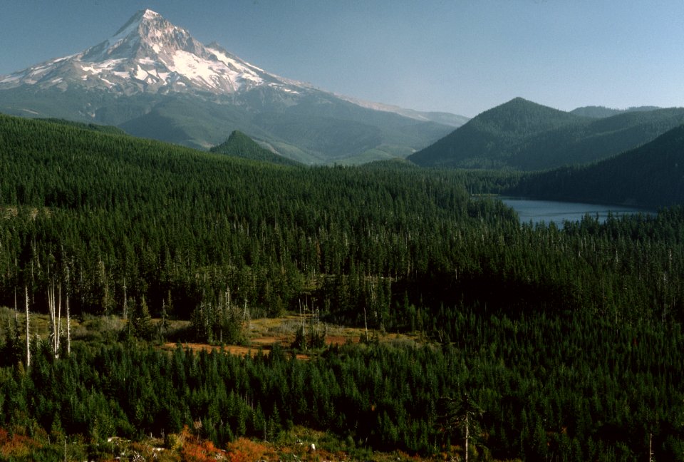 Lost Lake Mt Hood National Forest.jpg