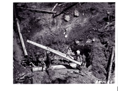 280055 Raising Bridge Along Quinault River, Olympic NF, WA 8-1933