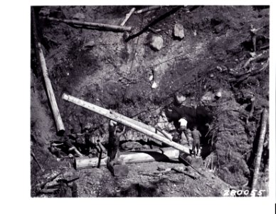 280055 Raising Bridge Along Quinault River, Olympic NF, WA 8-1933 photo