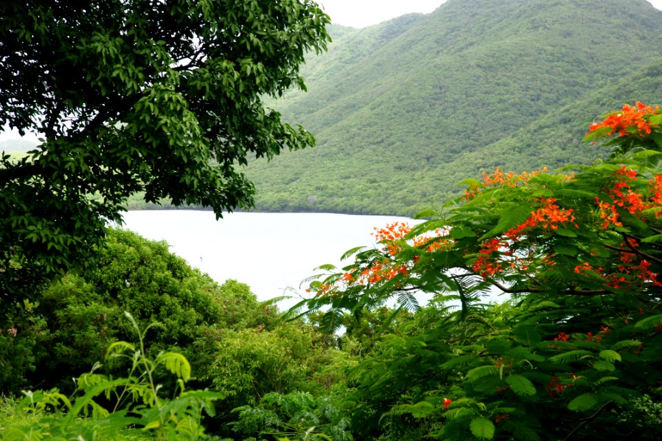 St John, US Virgin Islands