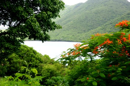 St John, US Virgin Islands