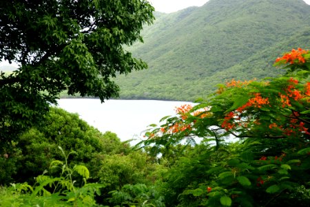 St John, US Virgin Islands photo