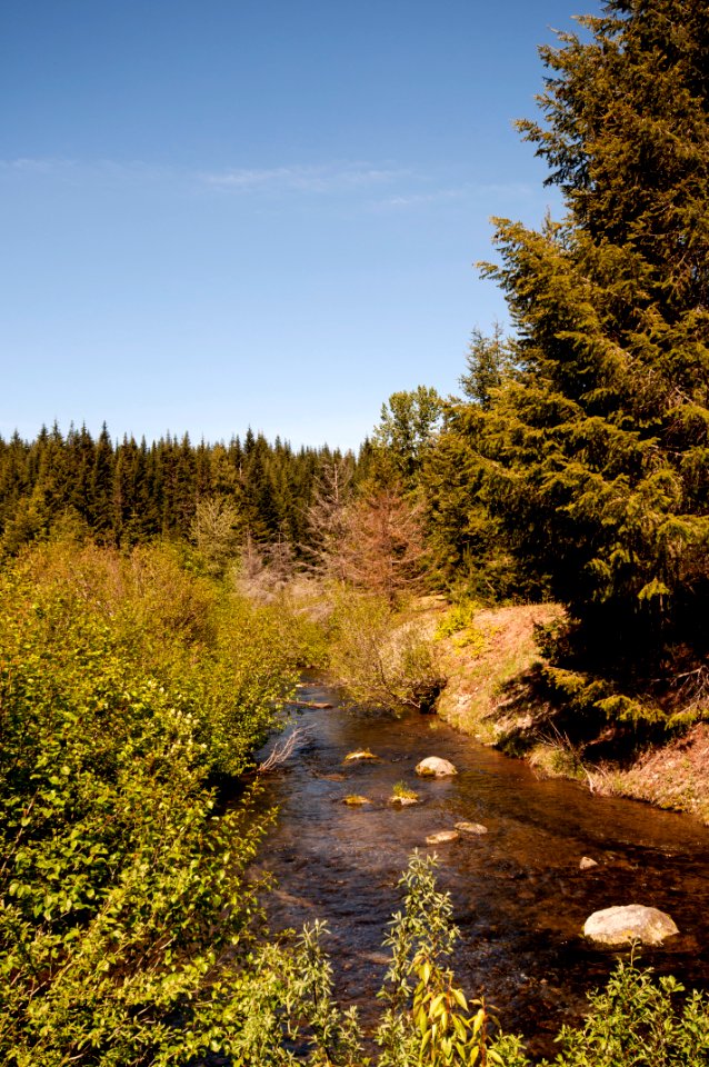View of Gold Creek along Interstate 90, Mt. Baker Snoqualmie National Forest
