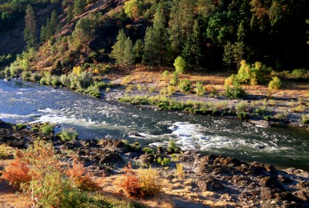 Fall on the Rogue River, Rogue River-Siskiyou National Forest.jpg