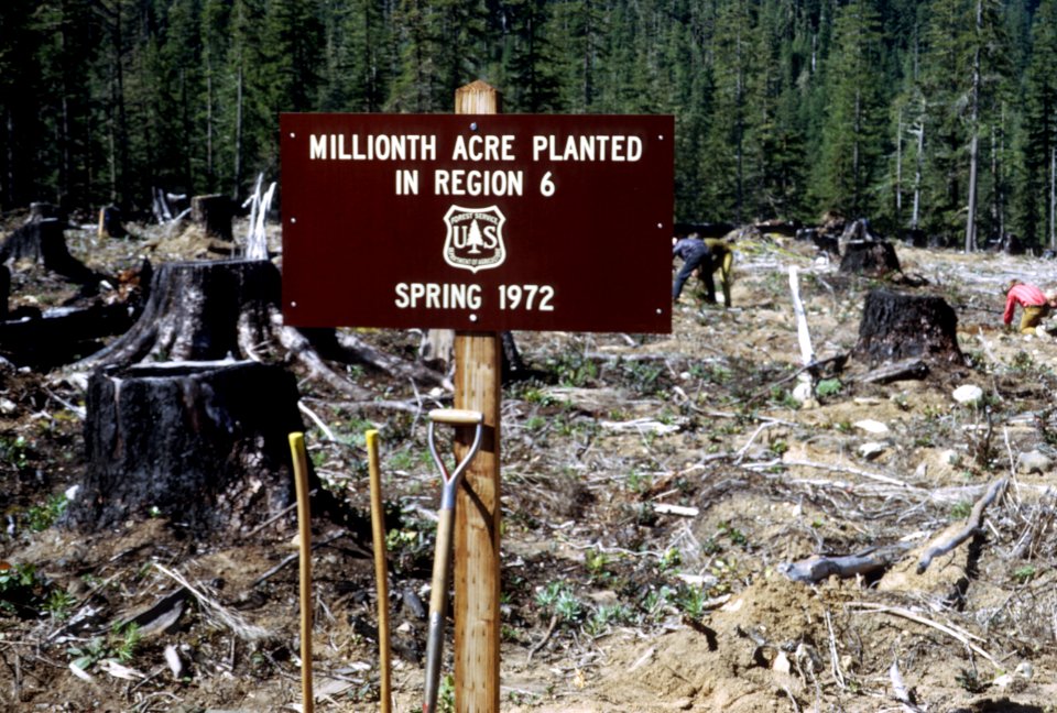 515 Millionth acre planting event, sign at acre, Mt Hood Nat'l Forest