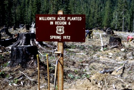 515 Millionth acre planting event, sign at acre, Mt Hood Nat'l Forest