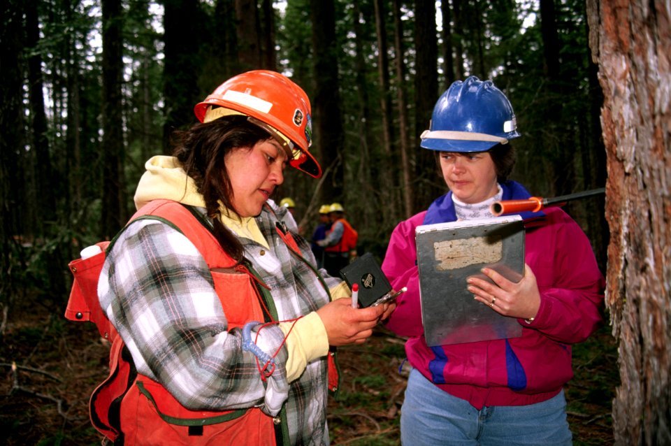 Forest inventory crew-3.jpg