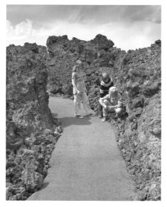 Visitors 1977 2