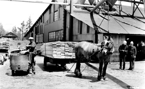 348123 Brooks Scanlon Mill, Bend, OR 1937 (2)