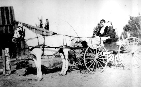 Buggy at Trail Crossing 1911 photo
