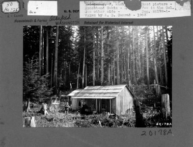 20178A Patented Homestead of W.M. Smith, Pierce County, Rainier FR, WA 1903