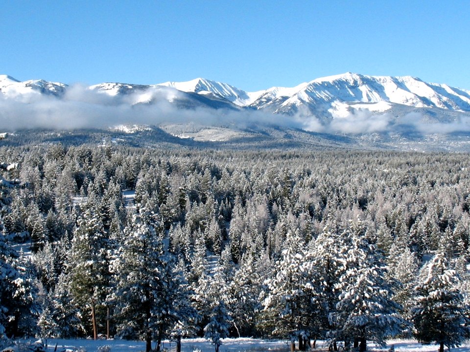 Mountain Range and Forest in Winter, Wallowa-Whitman National Forest