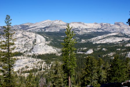 Yosemite National Park, California