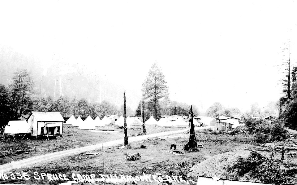 No. 355 Spruce Camp Tillamook Co. Ore