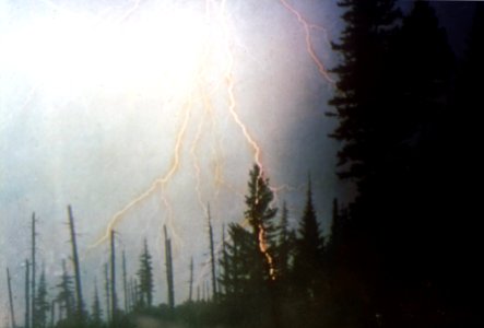 195374 Lightning Strikes, Mt. Baker NF photo