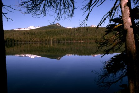 Lake Shoreline, Fremont-Winema National Forest