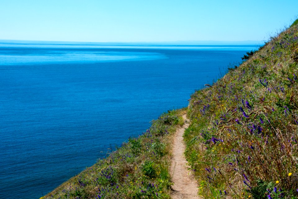 The Pacific Northwest Trail wrapping around the bluffs of Ebeys Landing