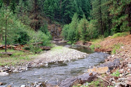 Ochoco National Forest, Mill Creek stream restoration-2.jpg photo