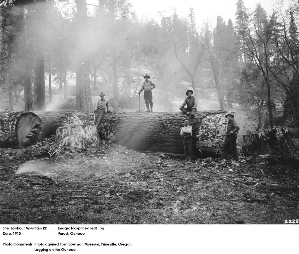 log-prineville01