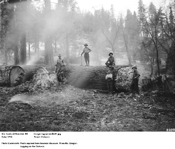 log-prineville01