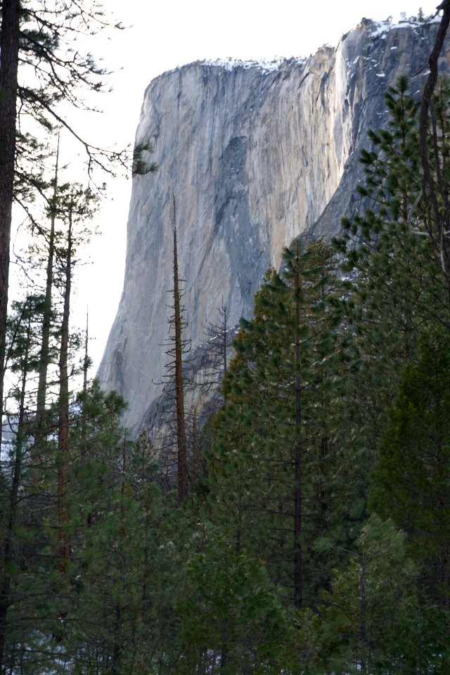 Yosemite Valley, CA (Unedited)