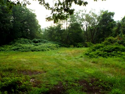 Verona Park