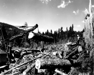 483513 Logging Operation, Willamette NF, OR photo